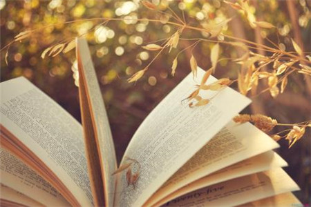 2020年上半年北京市自考注册报考温馨提示